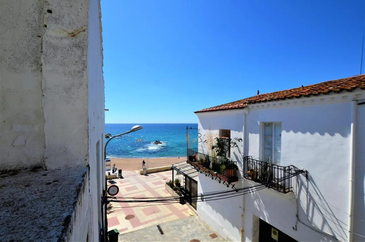 Villa Luxury House 8 Persons Front The Beach Blanes Costa Brava